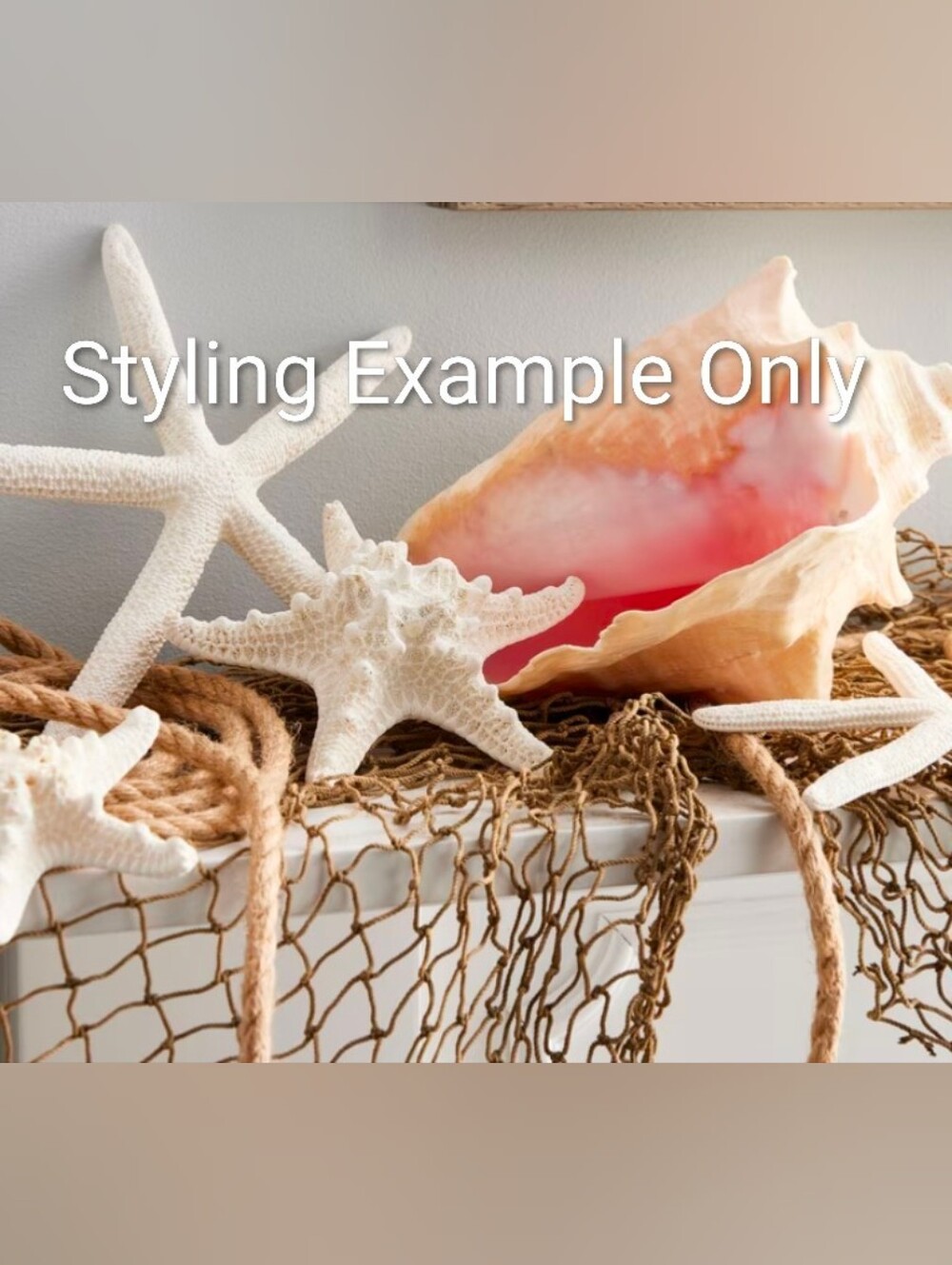 Nautical Net | Starfish - Picture 8 of 8